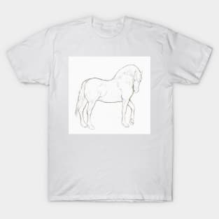 Welsh Stallion T-Shirt